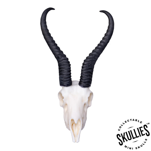 Skulls Unlimited: World Leader in Real and Replica Skulls & Skeletons —  Skulls Unlimited International, Inc.