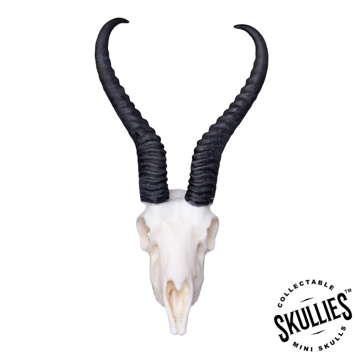 Replica Black Rhinoceros Horns — Skulls Unlimited International, Inc.