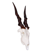 SKULLIES - Miniature Eland Skull