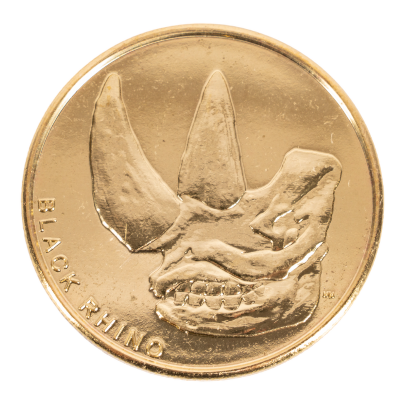 SKELETONS Museum of Osteology Golden Medallion Coins For Sale — Skulls