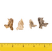 Real Research Quality Human Fetal Half Maxilla - Single