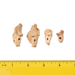 Real Research Quality Human Fetal Petrous - Single