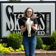 Real Blue Wildebeest Skull