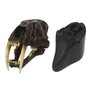 Replica Sabertooth Cat Skull - Tarpit Finish (1:3 Scale)