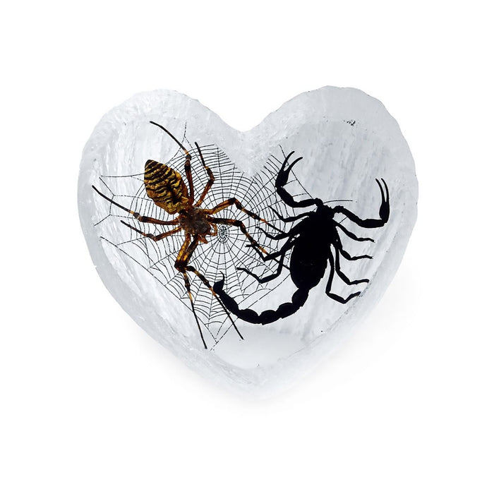Real Acrylic Spider and Scorpion Paperweight - Heart