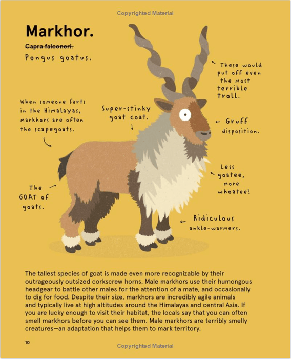 "The World's Most Ridiculous Animals" by Philip Bunting