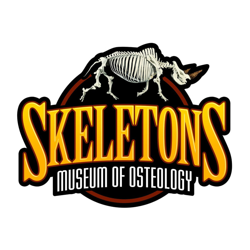Donation to SKELETONS: Museum of Osteology