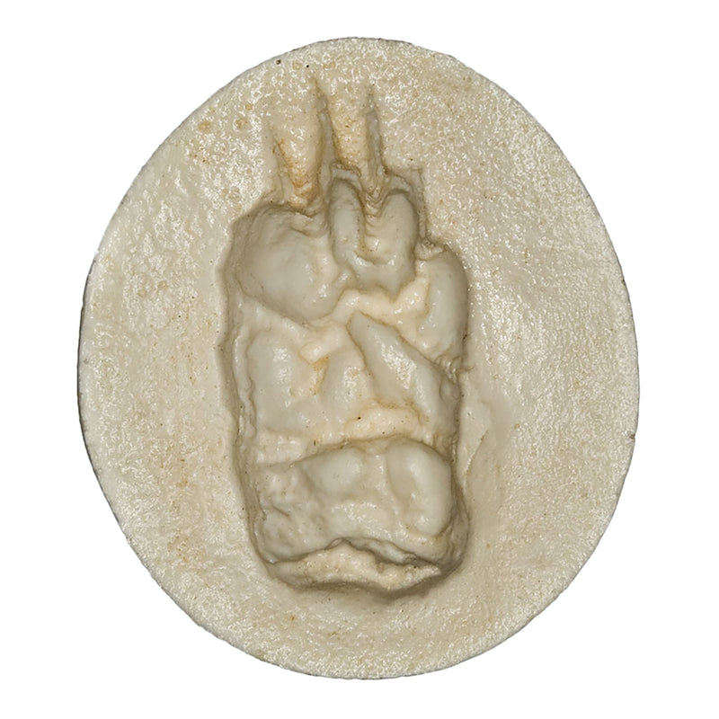 Replica Striped Skunk Negative Footprint