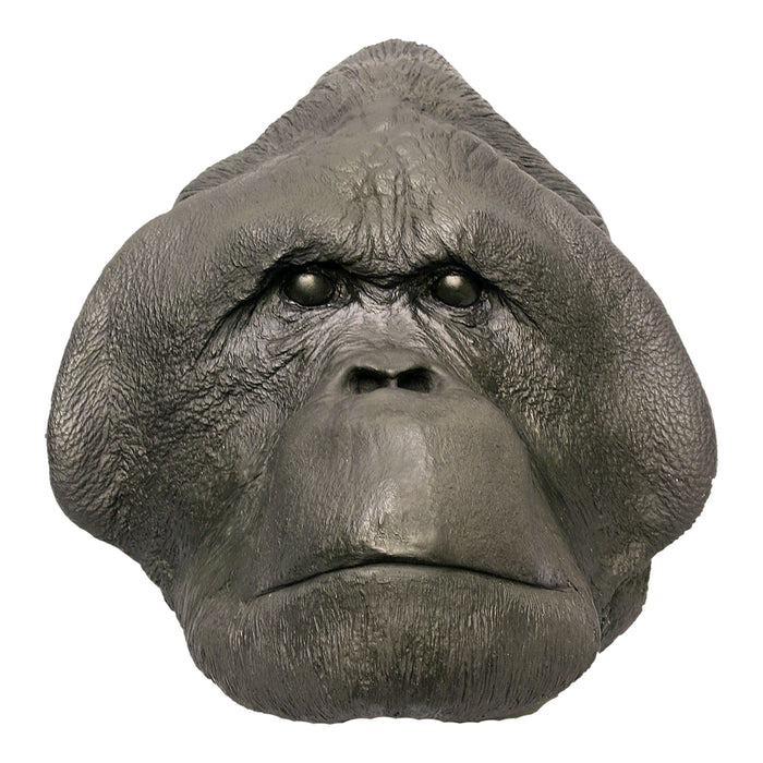 Replica Sumatran Orangutan Face Cast