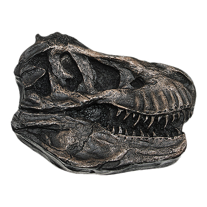 Replica Tyrannosaurus Rex Skull Plaque