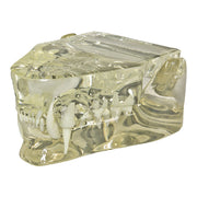 Replica Veterinary Clear Feline Model - Jaw
