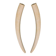 Replica Walrus Tusks - Pair