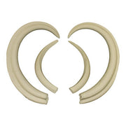 Replica Warthog Skull