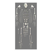 Replica Weeping Capuchin Monkey Skeleton
