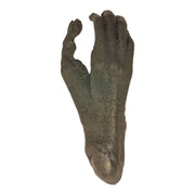 Replica White-handed Gibbon Foot
