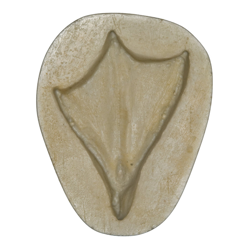 Replica Wood Duck Negative Footprint