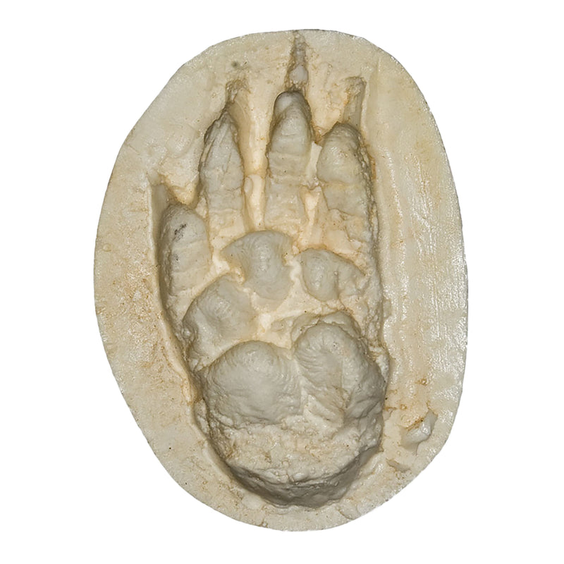 Replica Woodchuck Negative Footprint