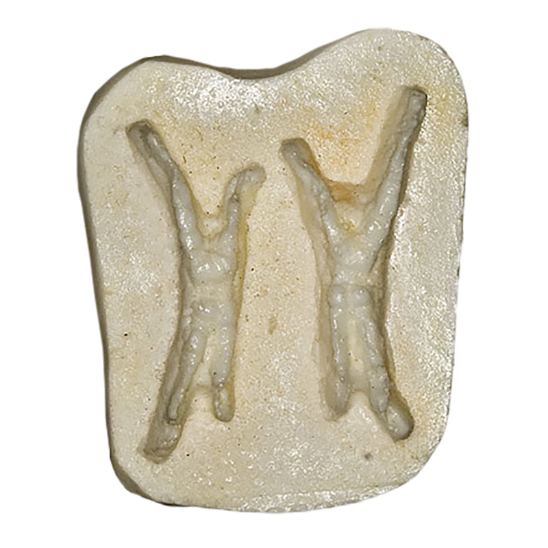 Replica Pileated Woodpecker Negative Footprint