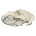 Replica Kodiak Grizzly Bear Skull