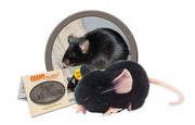 Giant Microbes Black Lab Mouse