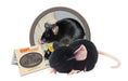 Giant Microbes Black Lab Mouse