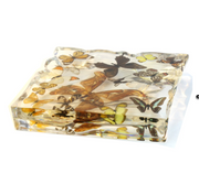 Real Butterflies and Moths in Acrylic Display - Set of 15