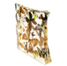 15 Butterflies and Moths Acrylic Display