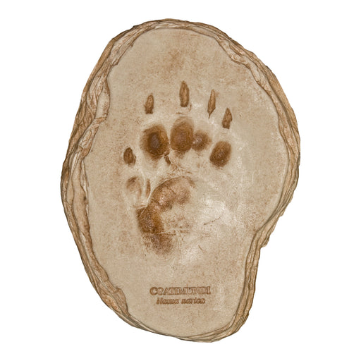 Replica Coatimundi Footprint