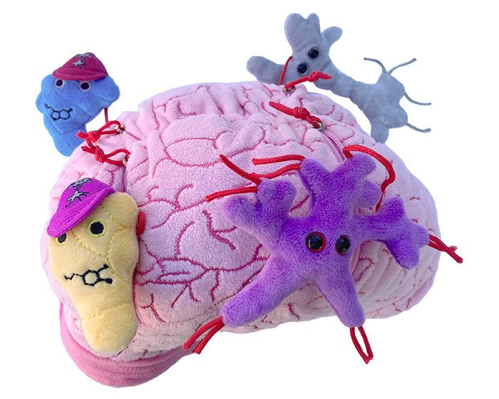 Deluxe Brain with Mini Cells Plush For Sale — Skulls Unlimited