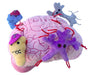 Giant Microbes Deluxe Brain with Mini Cells