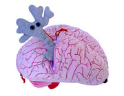 Giant Microbes Deluxe Brain with Mini Cells