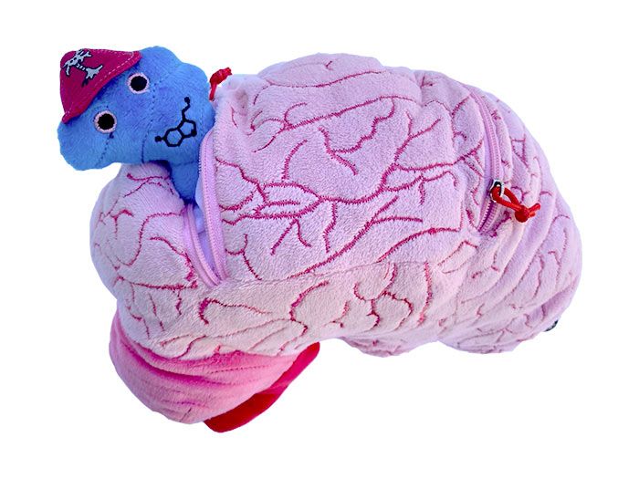 Deluxe Brain with Mini Cells Plush For Sale — Skulls Unlimited