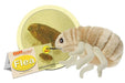 Giant Microbes Flea