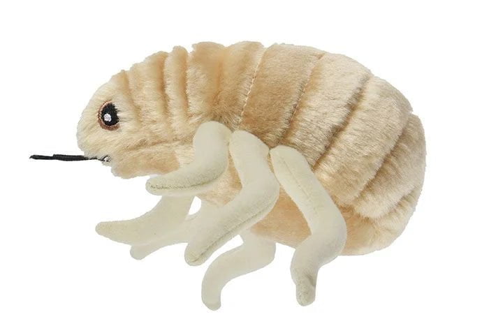 Giant Microbes Flea