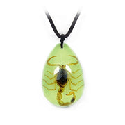 Real Golden Scorpion in Acrylic Necklace