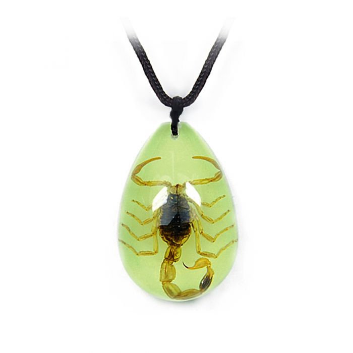 Real Golden Scorpion in Acrylic Necklace