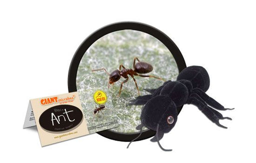 GIANTmicrobes Black Ant Plush