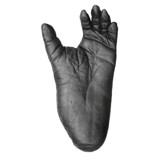 Replica Lowland Gorilla Left Foot - Male