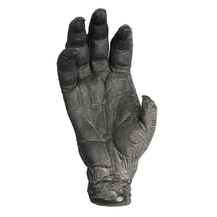 Replica Sumatran Orangutan Female Right Hand