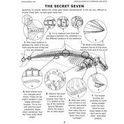 Articulations of a Porpoise Book (Vol.1)