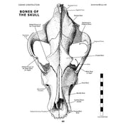 Canine Construction Book (Vol. 8)