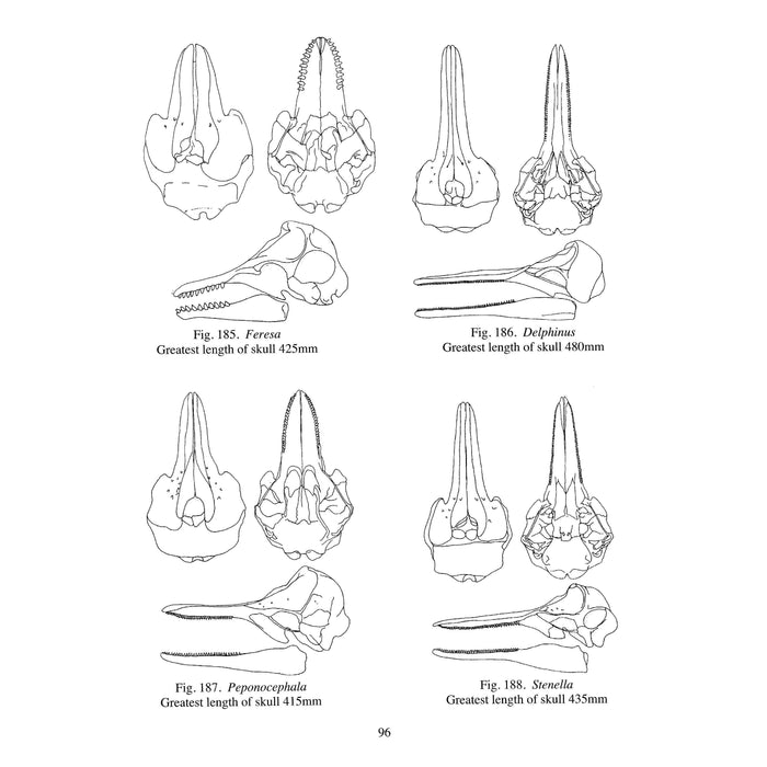 A Key to the Skulls of North American Mammals Book (Fourth Edition) - Skulls Unlimited International, Inc.