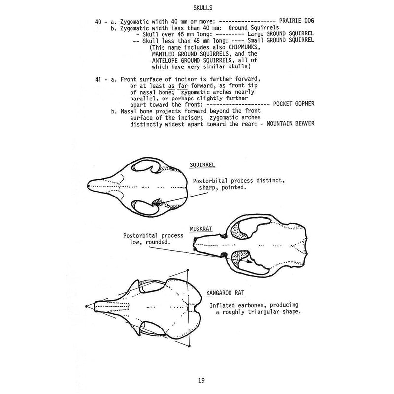 A Key Guide To Mammal Skulls and Lower Jaws Book