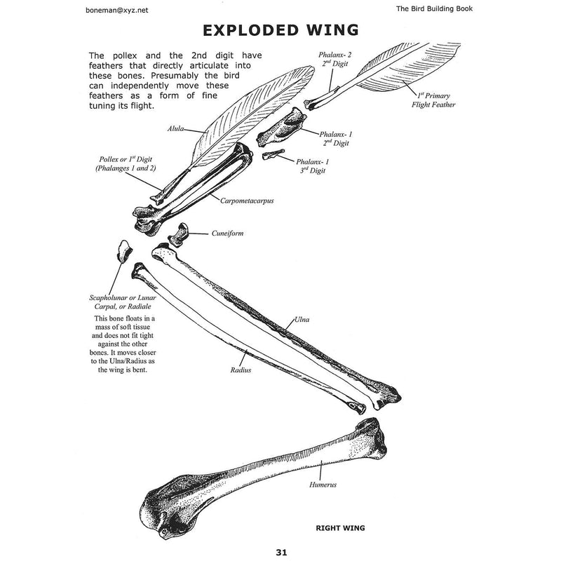 The Bird Building Book (Vol. 5)