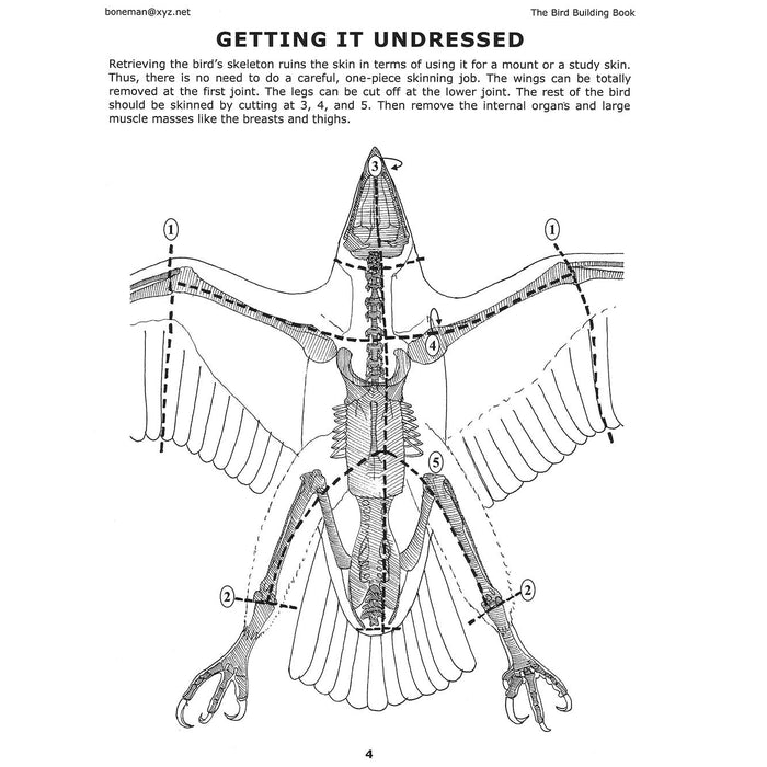 The Bird Building Book (Vol. 5)