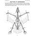 The Bird Building Book (Vol. 5)