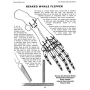 The Whale Building Book (Vol. 3)