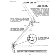 The Small Mammal Manual Manuscript Book (Vol. 9)