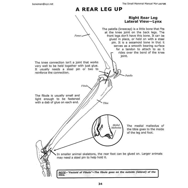The Small Mammal Manual Manuscript Book (Vol. 9)