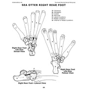 The Small Mammal Manual Manuscript Book (Vol. 9)